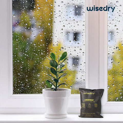 Wisedry 500g desiccant packs on shelf for storage moisture control.