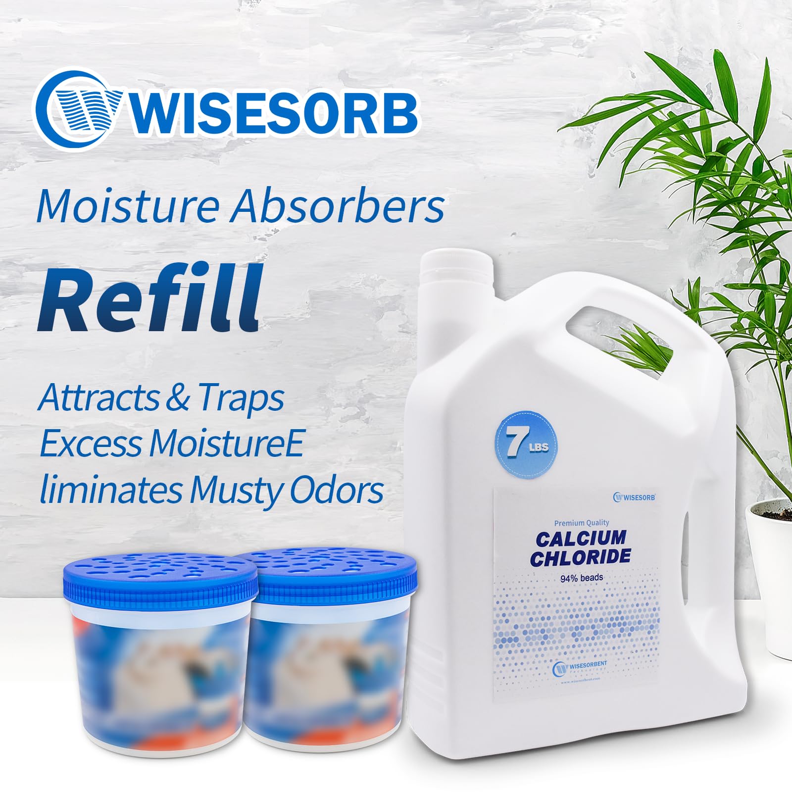 Wisesorb closet storage moisture protection keeps closets mold-free.