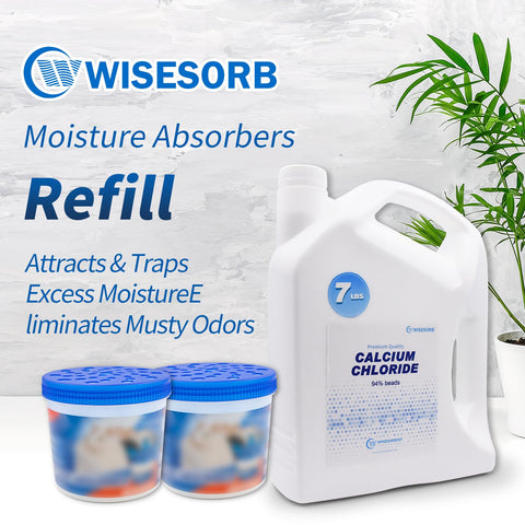 Wisesorb closet storage moisture protection keeps closets mold-free.