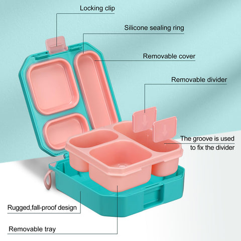 wiwinds bento lunch box compartments showing organized five-section layout