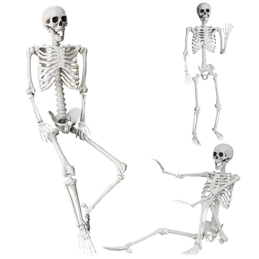 Wocst full body 165 cm skeleton for dramatic outdoor decor