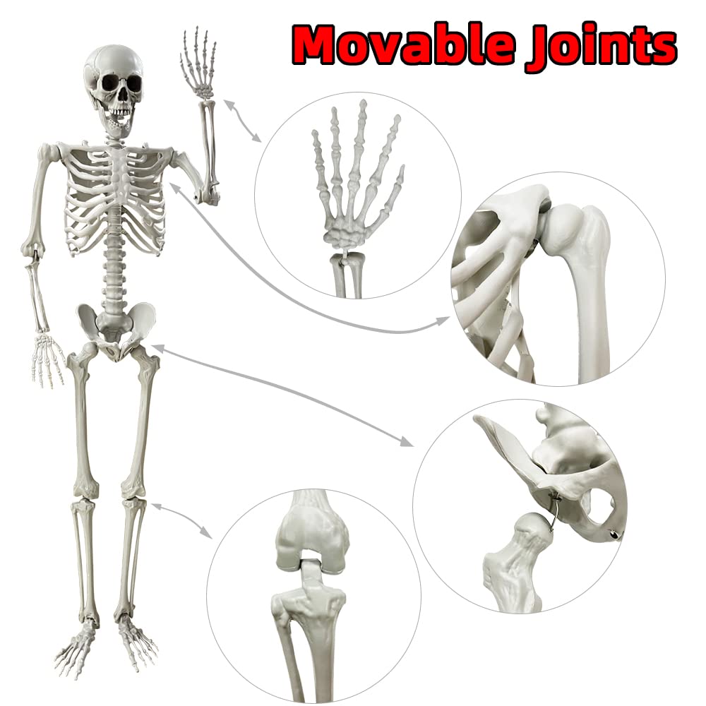 Wocst large 5.4 ft skeleton with commanding presence in scenes