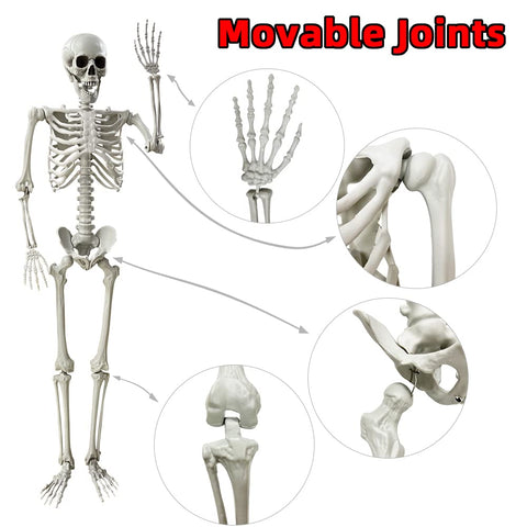 Wocst large 5.4 ft skeleton with commanding presence in scenes