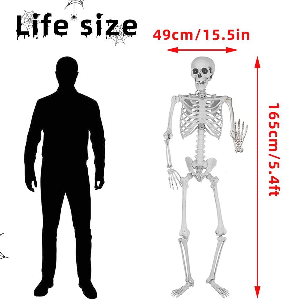 Wocst movable joints skeleton for flexible posing and display