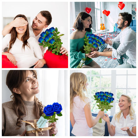 Wondrus maintenance-free roses that stay beautiful over time.