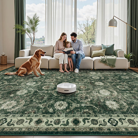 Woodbruy sage-green rug under dining table defines the space.