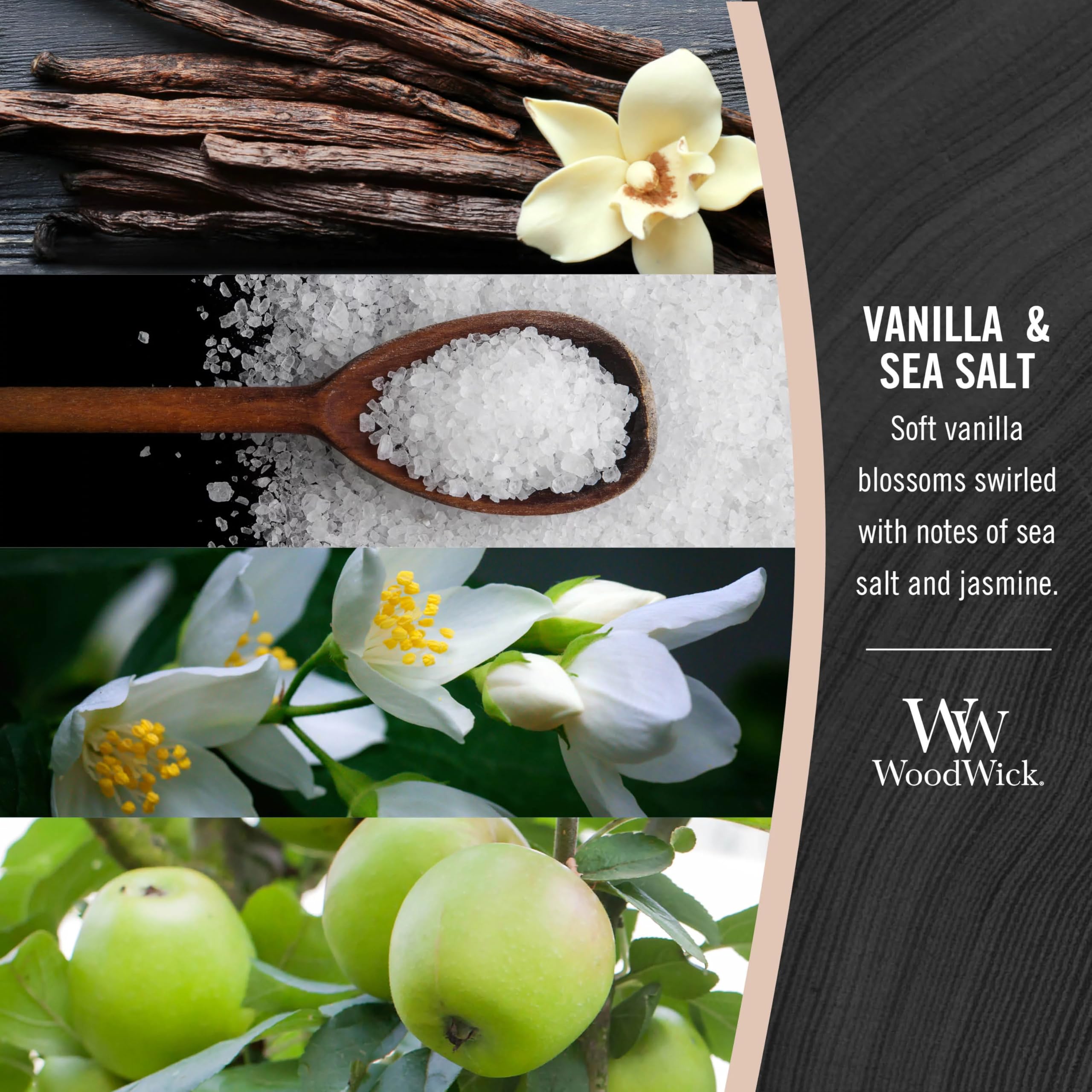 WoodWick Vanilla Sea Salt premium packaging and display in a retail setting.