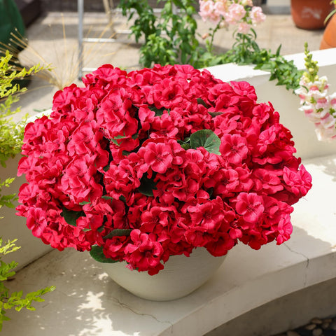 WTSFIDH red geraniums close-up showing realistic texture and durable color.