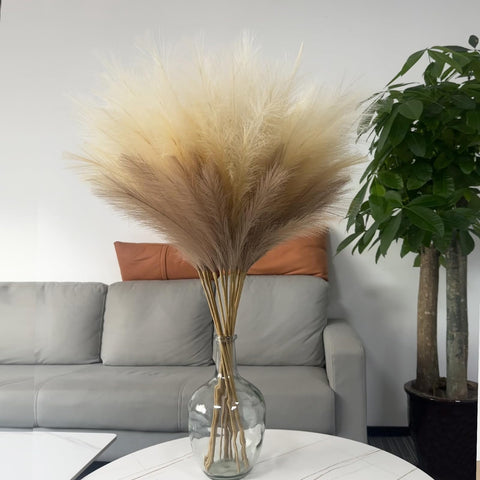 Wttisel non-toxic pampas grass is safe for homes with kids.