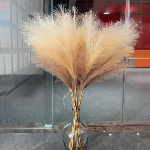 Wttisel tall pampas grass requires no upkeep.