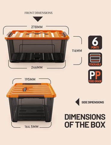 WYT black-clear bin with latch buckles keeps small items protected and visible.