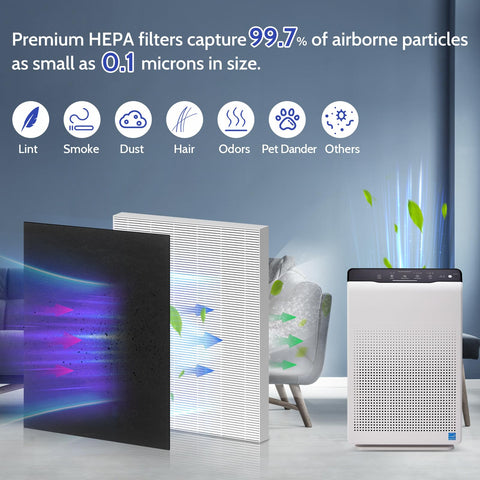 Two-pack XBGG HEPA filters ensure consistent replacement cadence.