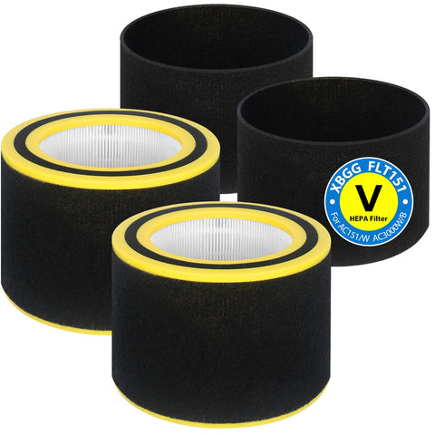 XBGG AC3000W Filter V HEPA 2-pack for reliable air filtration at home.