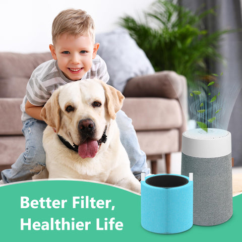 XBWW Activated carbon layer filter – absorbs odors and VOCs in Mini Max.