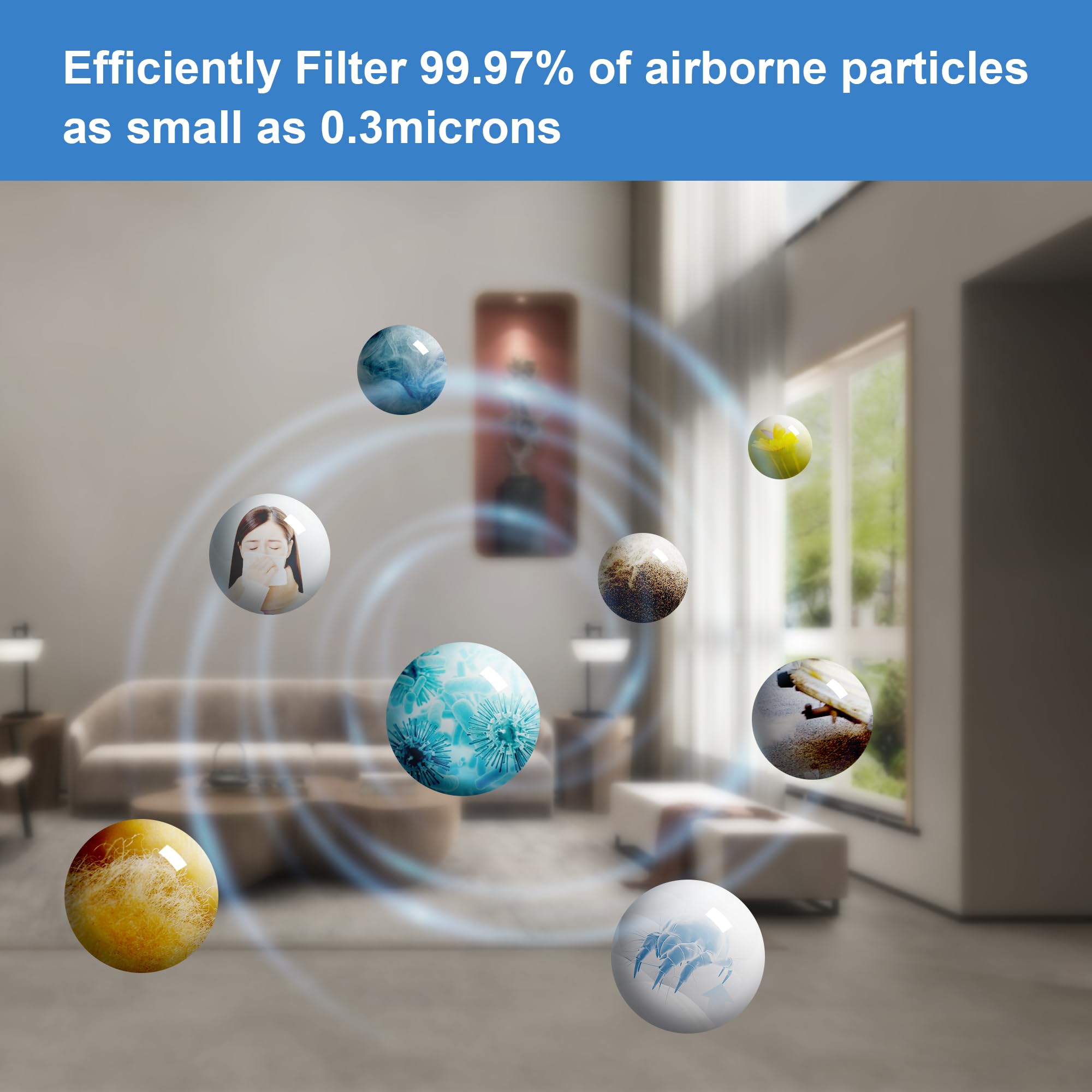 XBWW value pack of two filters offers cost-effective replacements