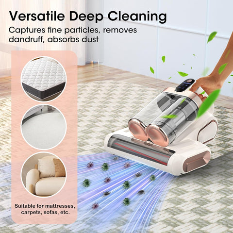 XIAOLANG dual dust cup design for easy disposal and hygiene.