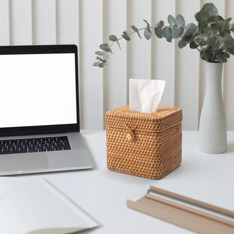 XIMISISE natural-tone woven holder complements living room aesthetics while keeping tissues accessible.