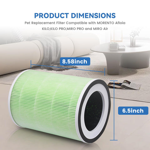 XTPOINT KILO 2-pack packaging highlights budget-friendly value.