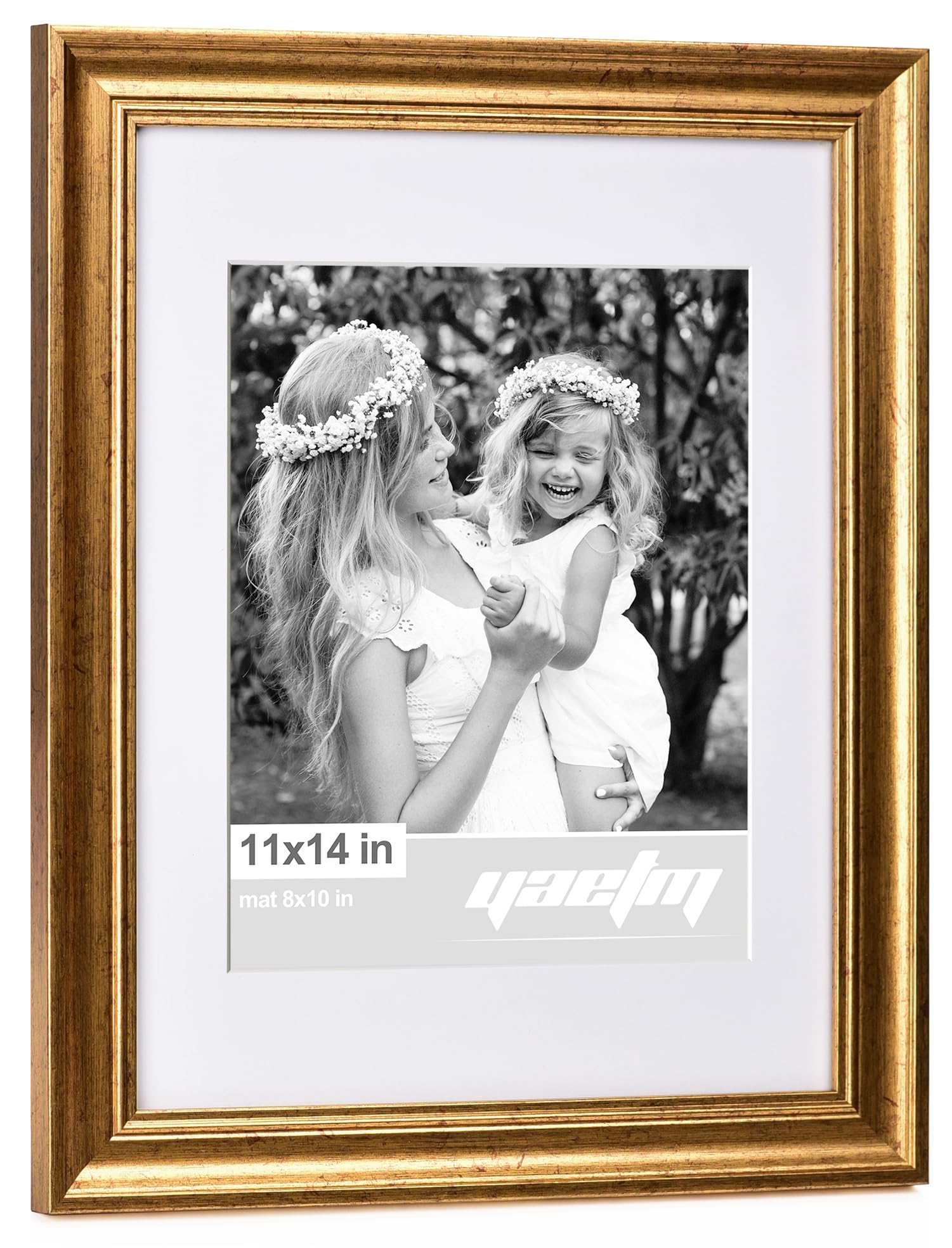 Yaetm wall gallery setup in rustic gold frames enhances living room ambiance.