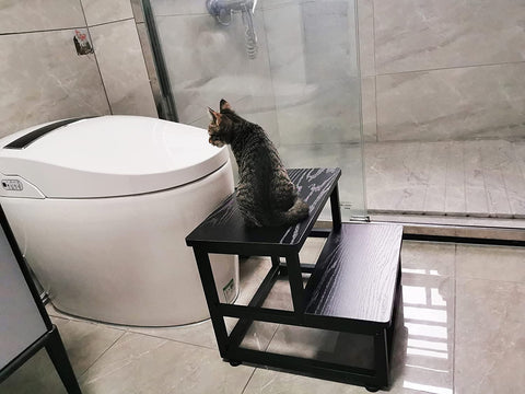 YAKANJ stool for bathroom use with stable daily tasks