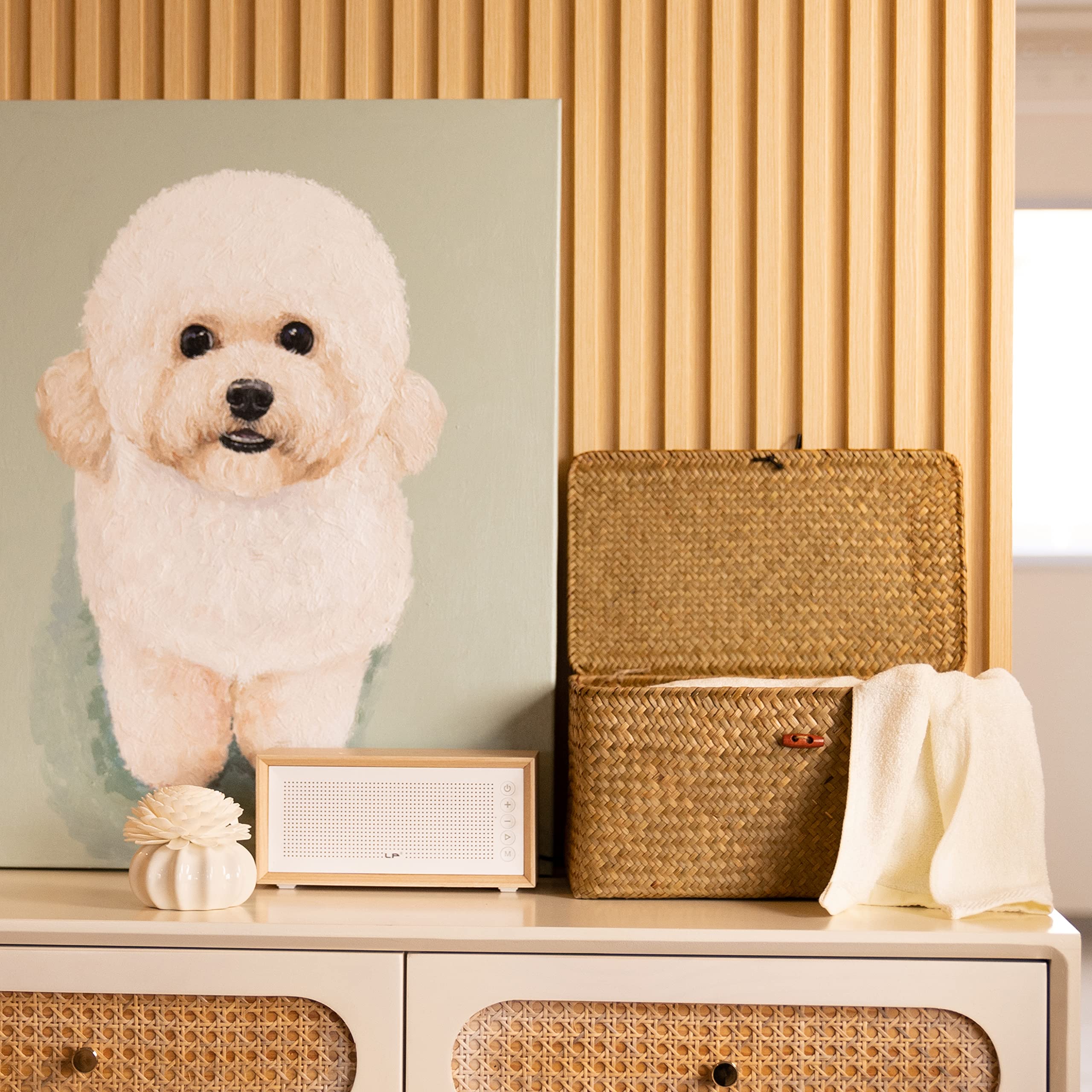 YANGQIHOME lid-on view demonstrates dust protection for stored items.