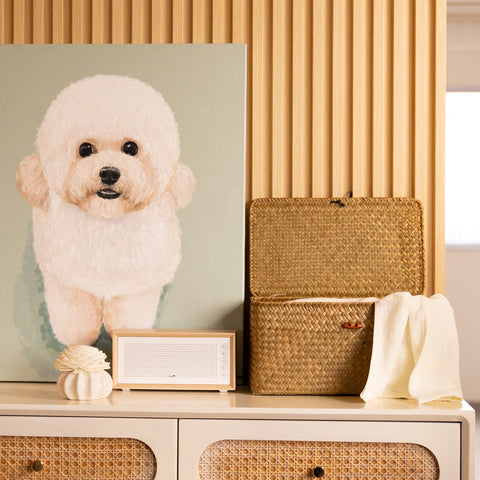 YANGQIHOME lid-on view demonstrates dust protection for stored items.