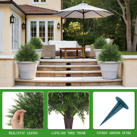 Yangrass front door topiary enhances welcoming entryway.