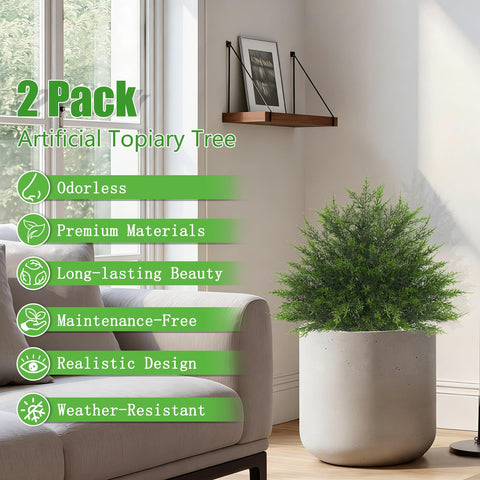 Yangrass cedar topiary for indoor or outdoor display.