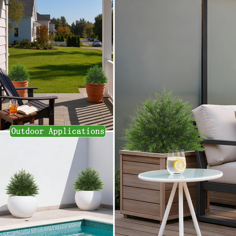 Yangrass topiary ships with compression protection to arrive in shape.