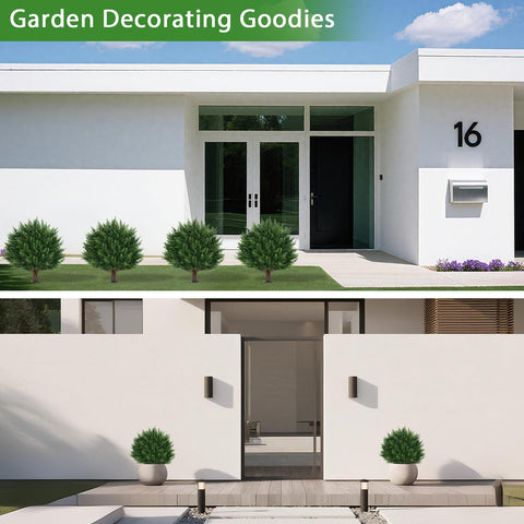 Yangrass topiary ball in planter, ideal for borders and entryways.