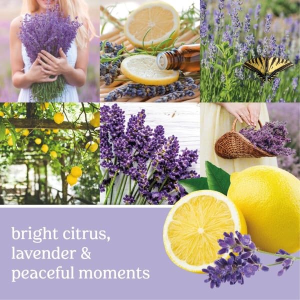 Yankee Candle variety pack lets you switch scents for different moods.