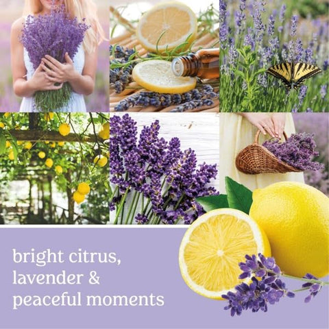 Yankee Candle variety pack lets you switch scents for different moods.
