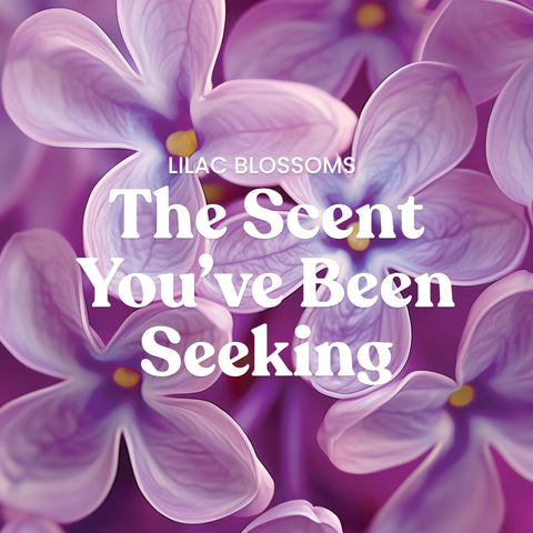 Yankee Candle Lilac Blossoms aroma evokes spring mornings for a welcoming home.