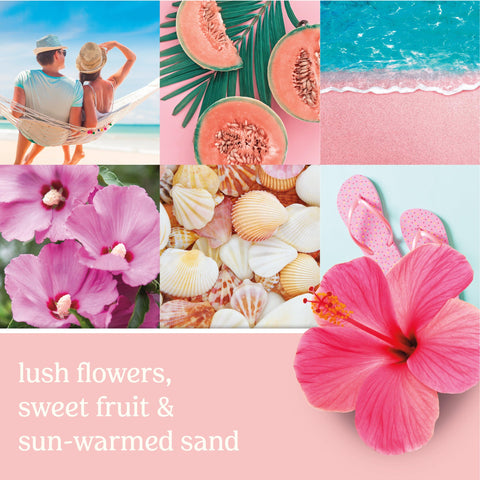 Pink Sands fragrance-dispersion demonstrates fast aroma release in a room.