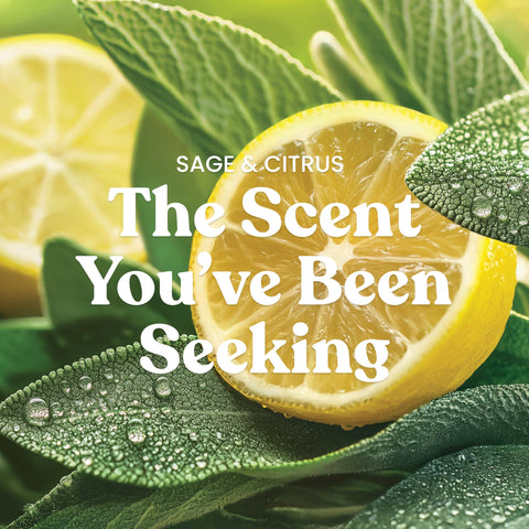 Yankee Candle Sage and Citrus fragrance-note close-up highlights sage and lemon brightness.