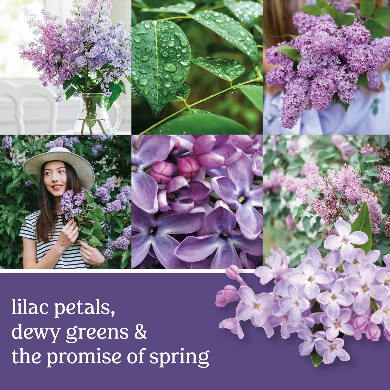 Yankee Candle Lilac Blossoms single wick closeup evokes steady burn and consistent fragrance.