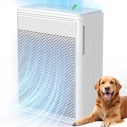 YARIKI P280 in a living room reduces pet hair and dander for a fresher space