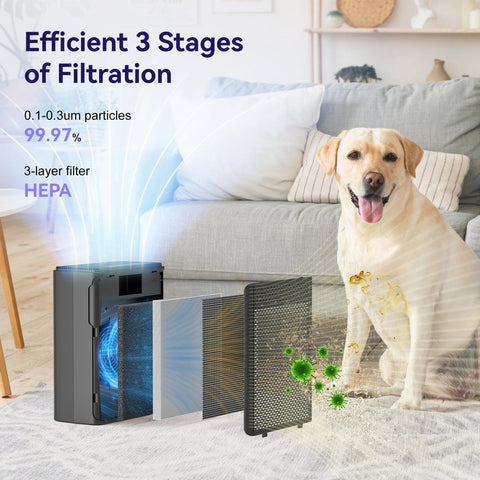 YARIKI P280 helps reduce pet hair, dander, and odors in the home.