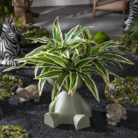 Dust-free care with damp cloth for Yarmare faux plants