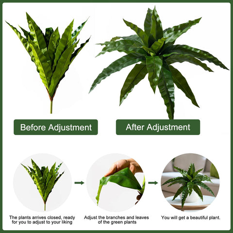 Unfolded Yarmare dracaena stems after shipping for a lush look