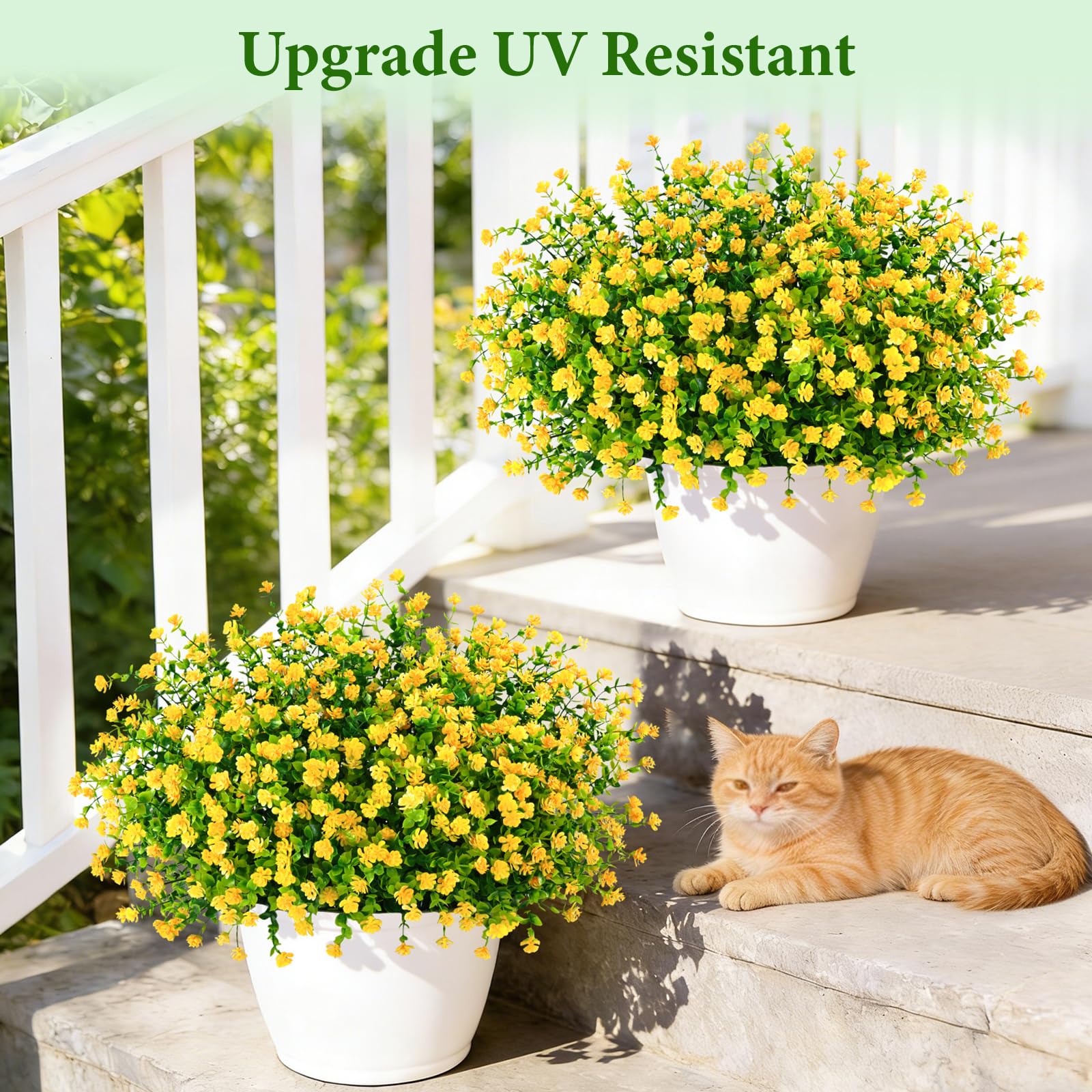 Yastouay color palette of outdoor flowers adds versatile style.