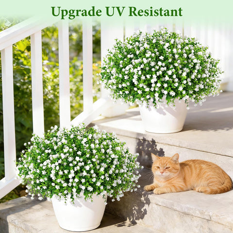 Yastouay window box display offers easy maintenance-free curb appeal.