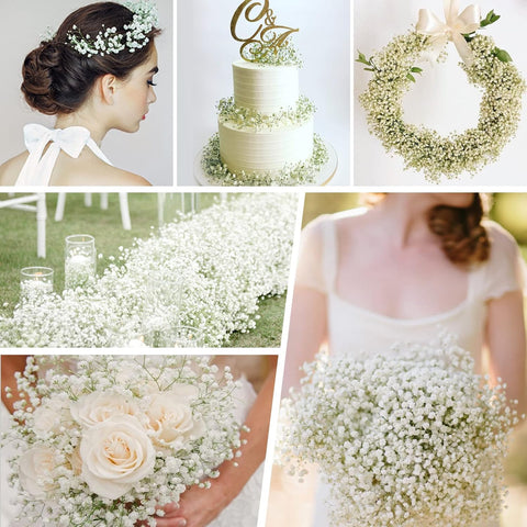 Yastouay Baby's Breath maintenance-free blooms for year-round use