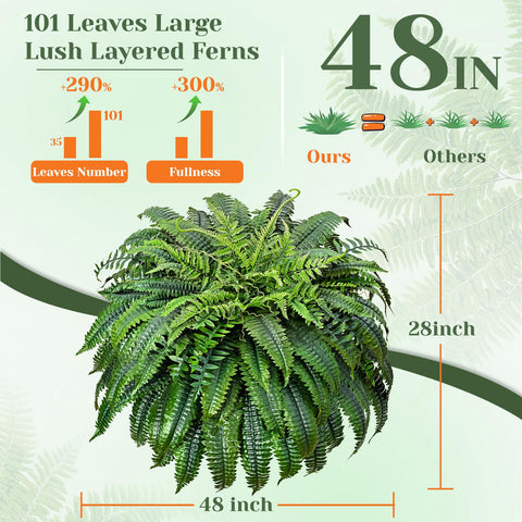 Yastouay 101-leaf fern fullness fills a 20-inch planter beautifully
