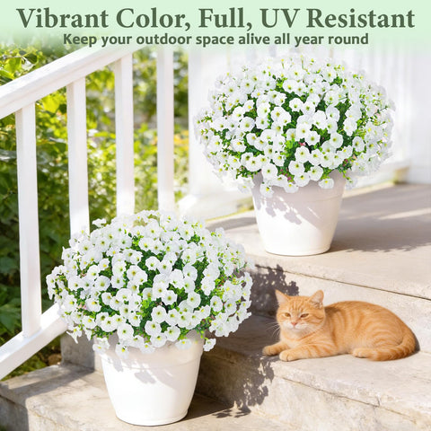 Yastouay flexible stems allow shaping morning glory blooms to fit spaces.