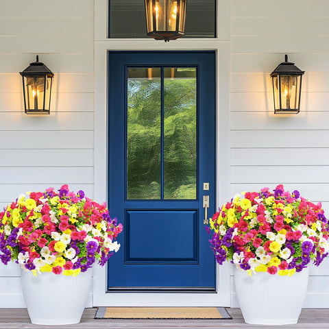 Yastouay purple morning glory bloom enhances garden borders