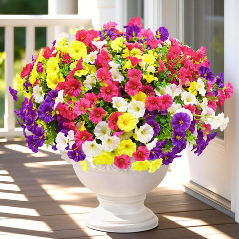Yastouay rose-red morning glory bloom for vibrant patio color