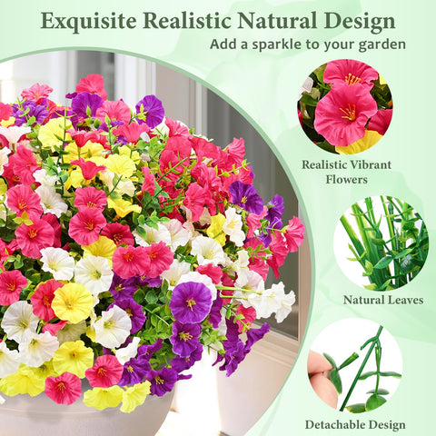 Yastouay yellow morning glory bloom brightens patios without maintenance
