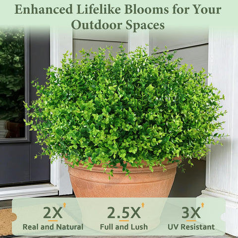 Yastouay purple bundle provides vibrant focal point for any outdoor space.