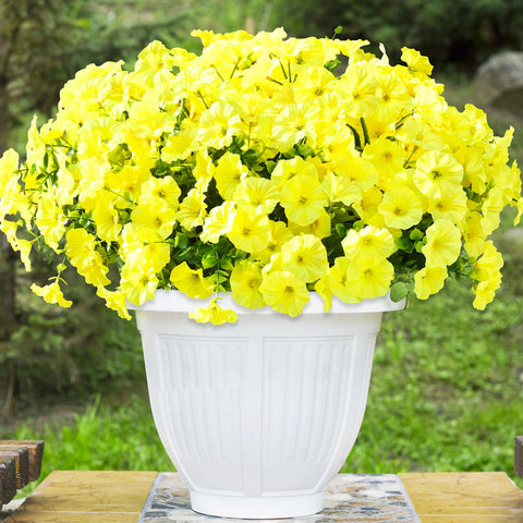 Yastouay patio garden ornament for easy maintenance-free greenery